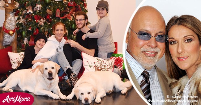 Une magnifique photo où l'on voit Céline Dion avec ses fils, 3 ans après la mort de son mari
