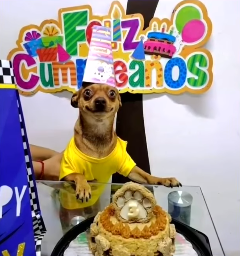 Odín con su cara de felicidad. │ Foto: Captura de Facebook/Imagen Televisión