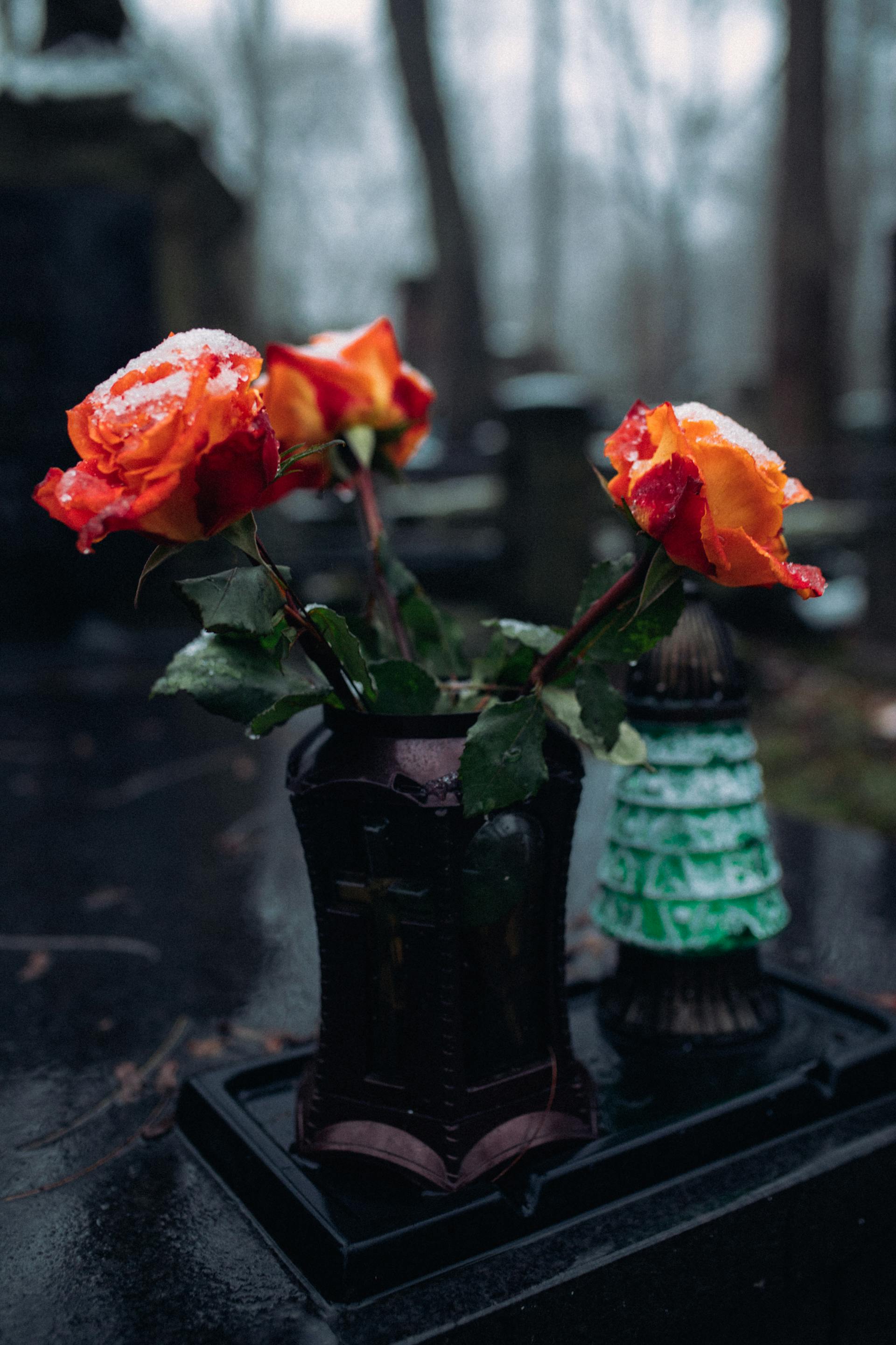 Flowers on a grave | Source: Pexels