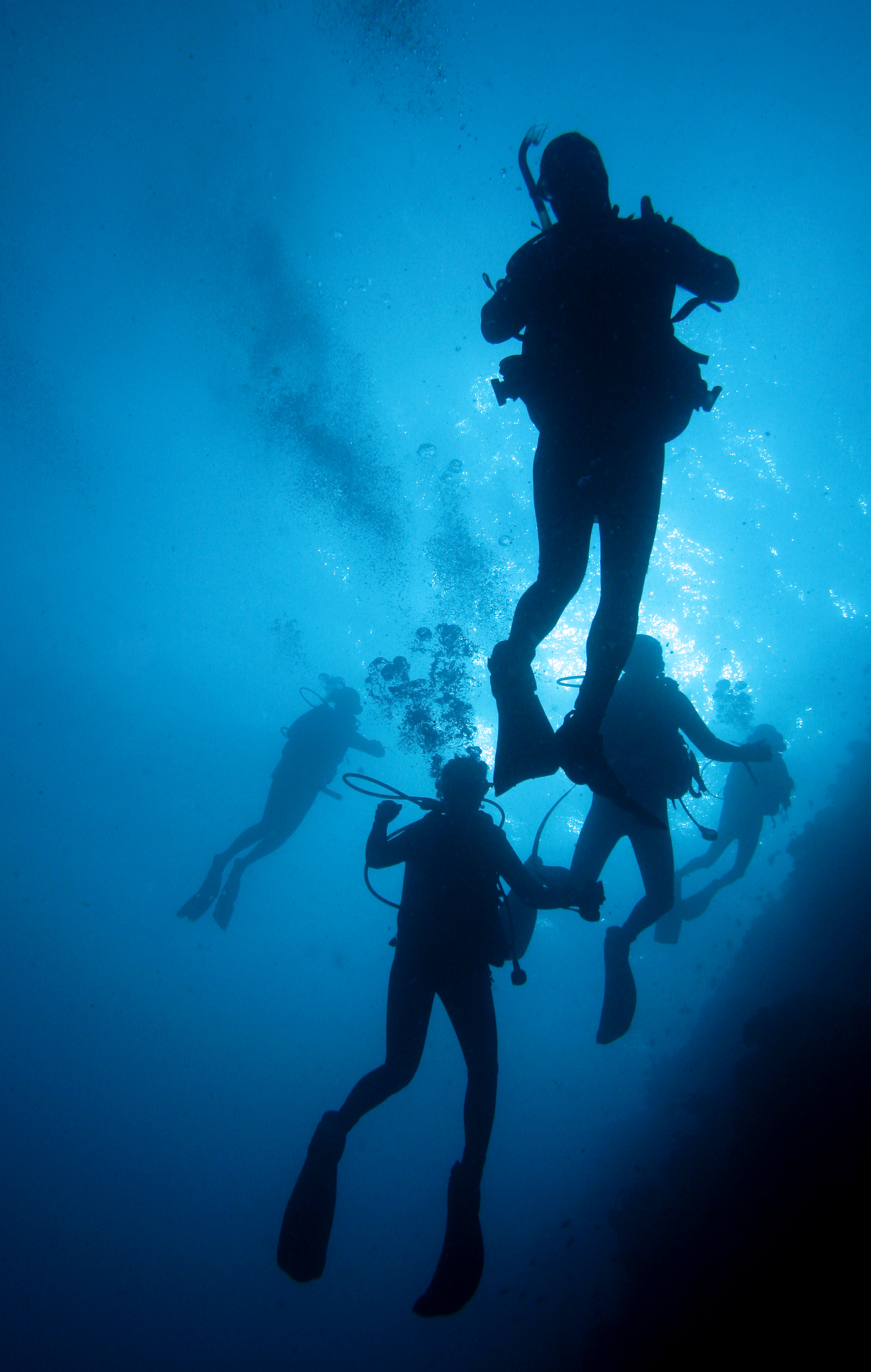 A group of divers | Source: Getty Images