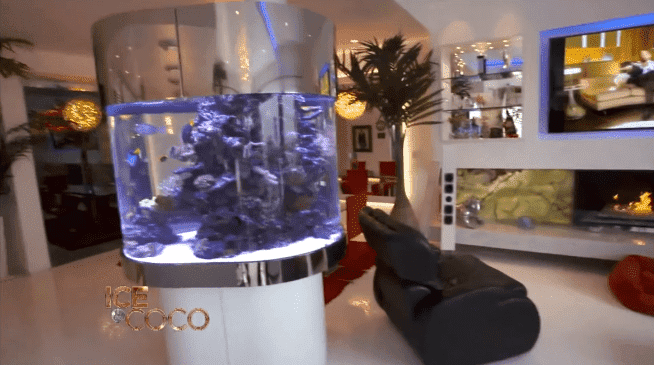 Coco Austin and Ice-T's aquarium in their mansion | Source: YouTube/Cocosworld