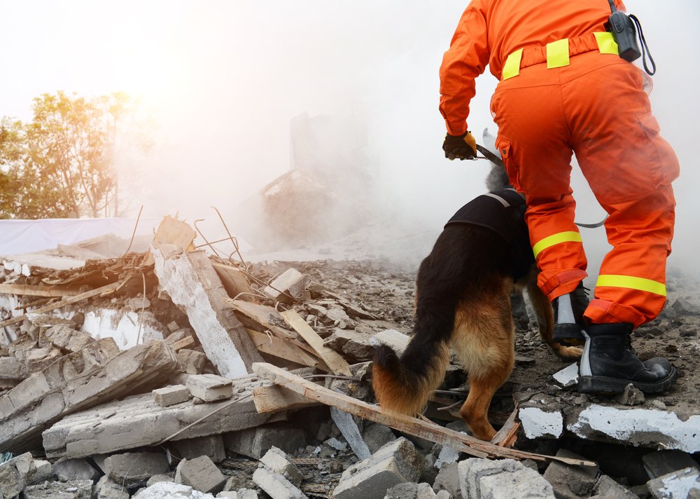 A photo of a rescue team at the sight of a collapsed building. | Photo: Shutterstock