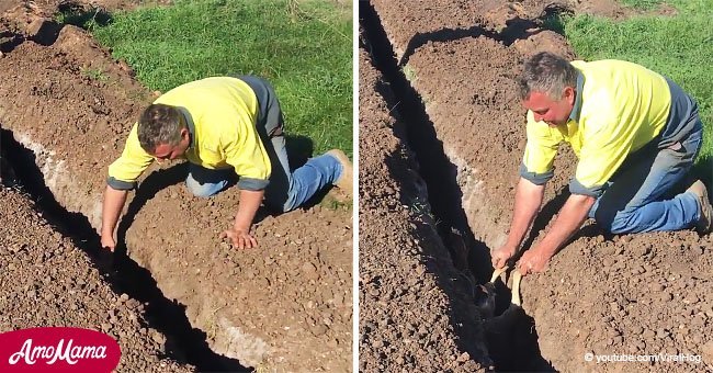 Workers found two paws sticking out from a ditch and rushed to help