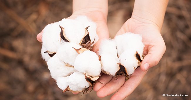 Parents Furious at Seeing Video of Their Children Picking Cotton on a Field Singing a 'Slave Song'