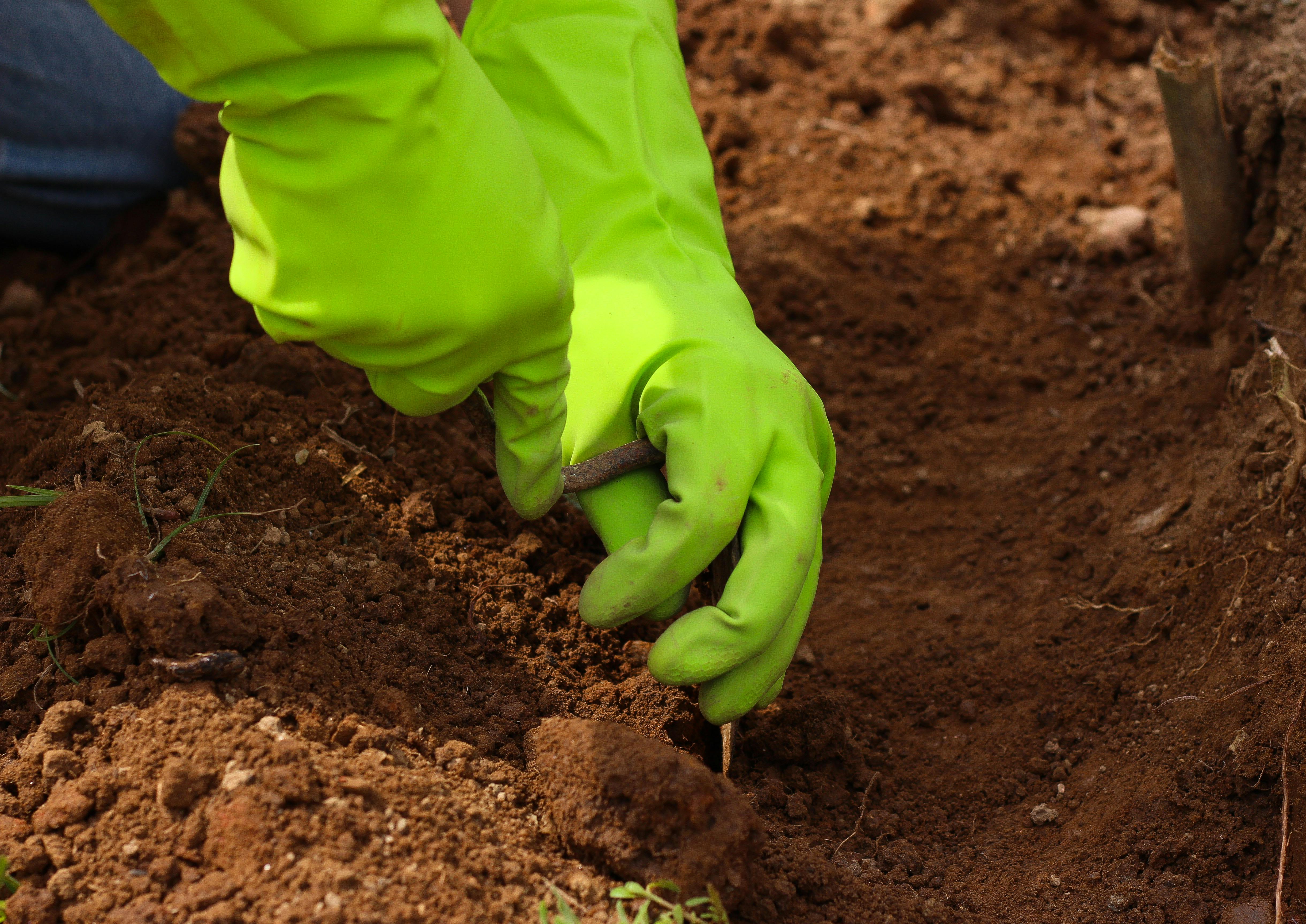 A person checking on some soil | Source: Pexels