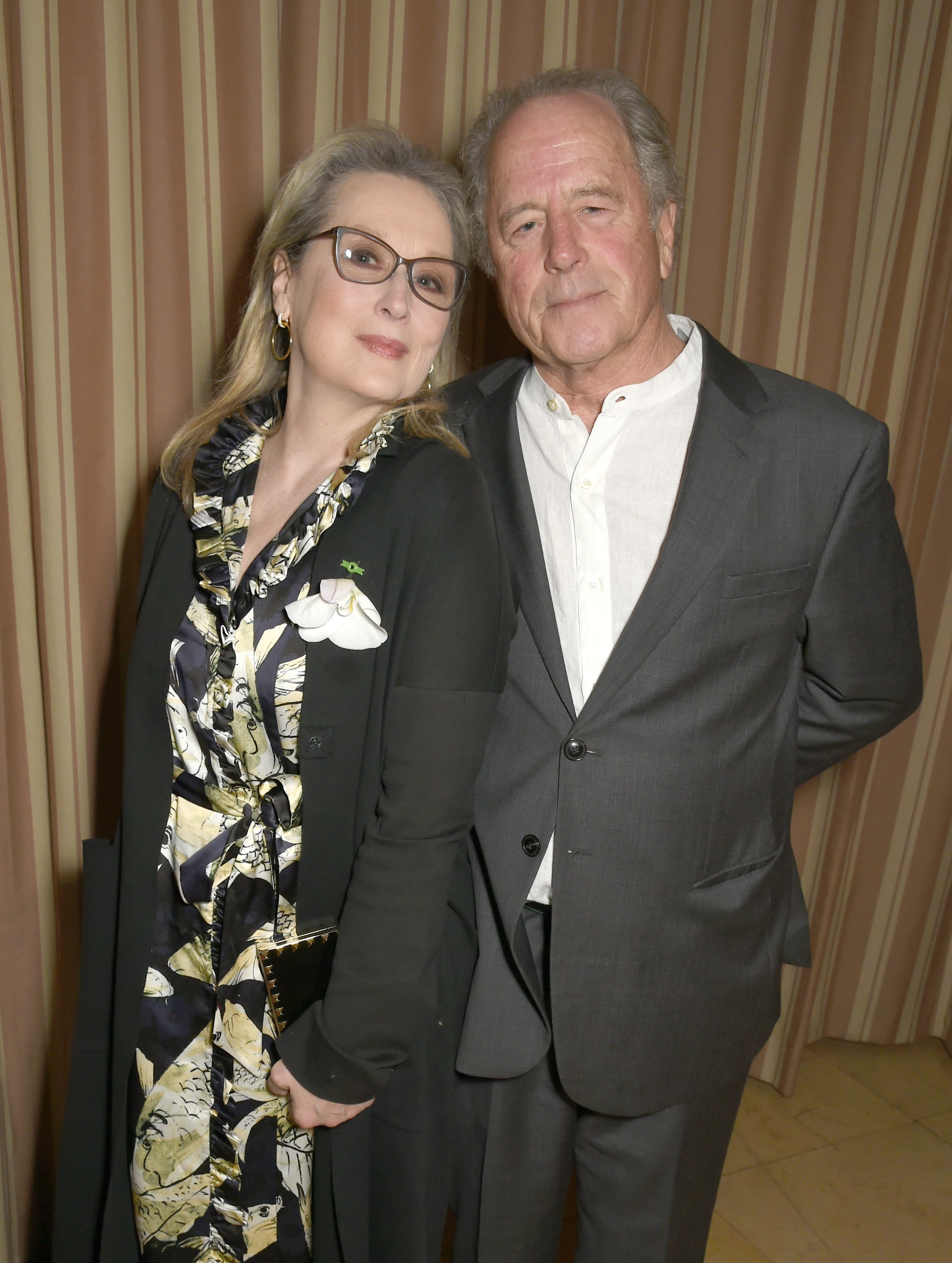 Meryl Streep and Don Gummer attend a dinner to celebrate The GCC and The Journey To Sustainable Luxury in Los Angeles, California, on February 24, 2017. | Source: Getty Images