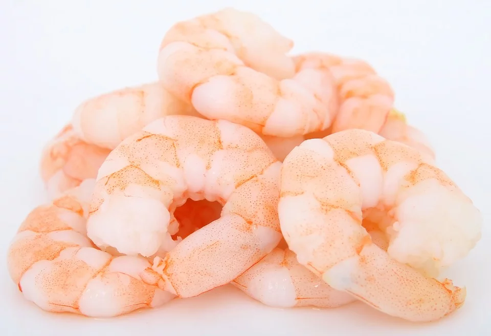 Des crevettes. | Source : Pixabay Des crevettes. | Source : Pixabay