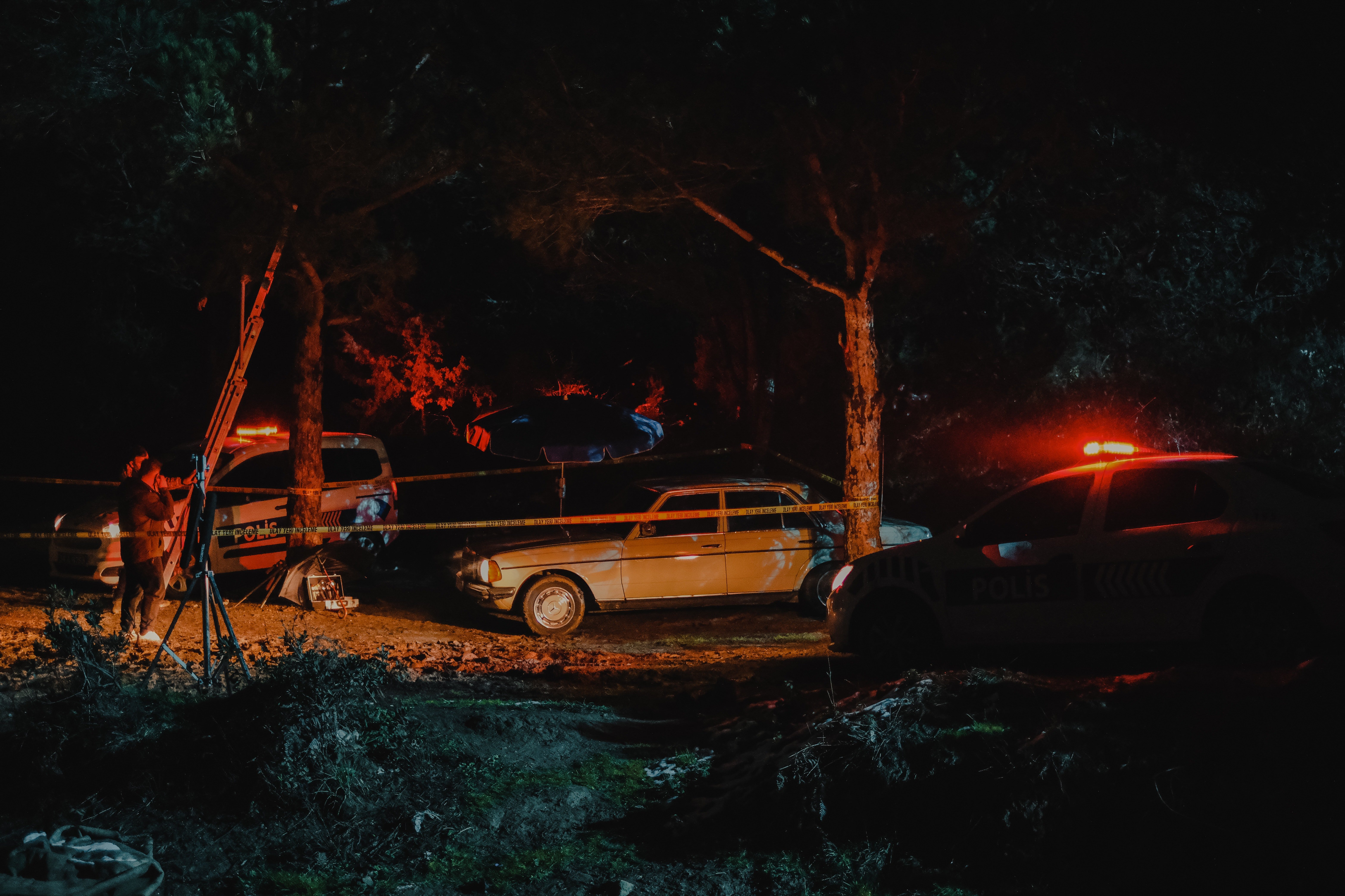 Adam's car crashed into a tree. | Source: Pexels