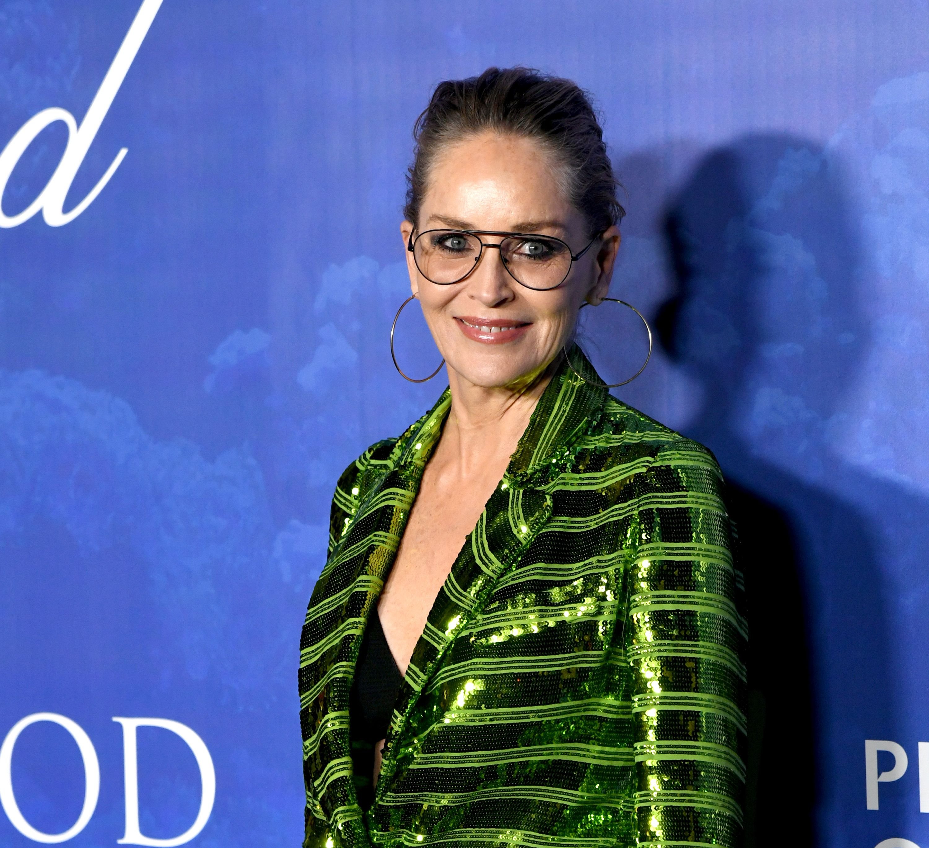Sharon Stone at the 2020 Hollywood for the Global Ocean Gala Honoring HSH Prince Albert II Of Monaco on February 06, 2020 | Photo: Getty Images