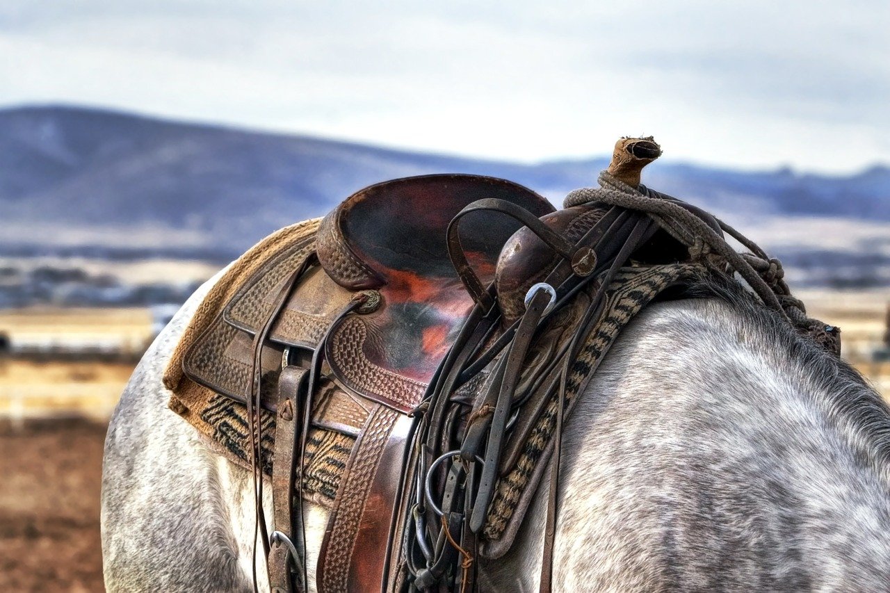 Part of a saddled up horse without a rider | Photo: Pixabay/Bee Iyata
