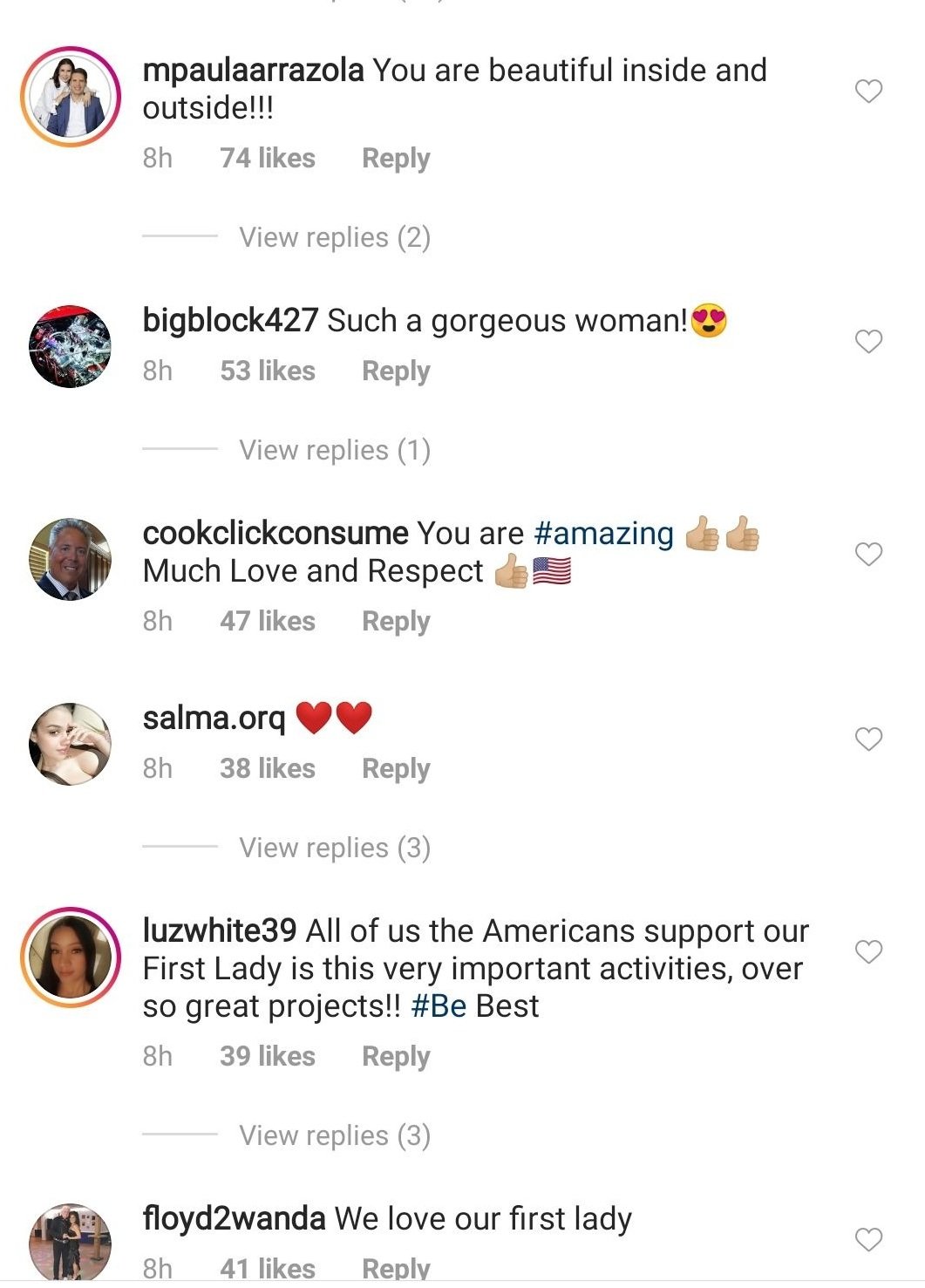 Follower comments on Melania Trump's post about the 2nd anniversary of her #BeBest initiative on May 8, 2020. | Source: Instagram/flotus.