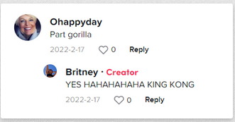 Ein positiver Kommentar zu Britneys Baby | Quelle: tiktok.com/@britneyisthebest_