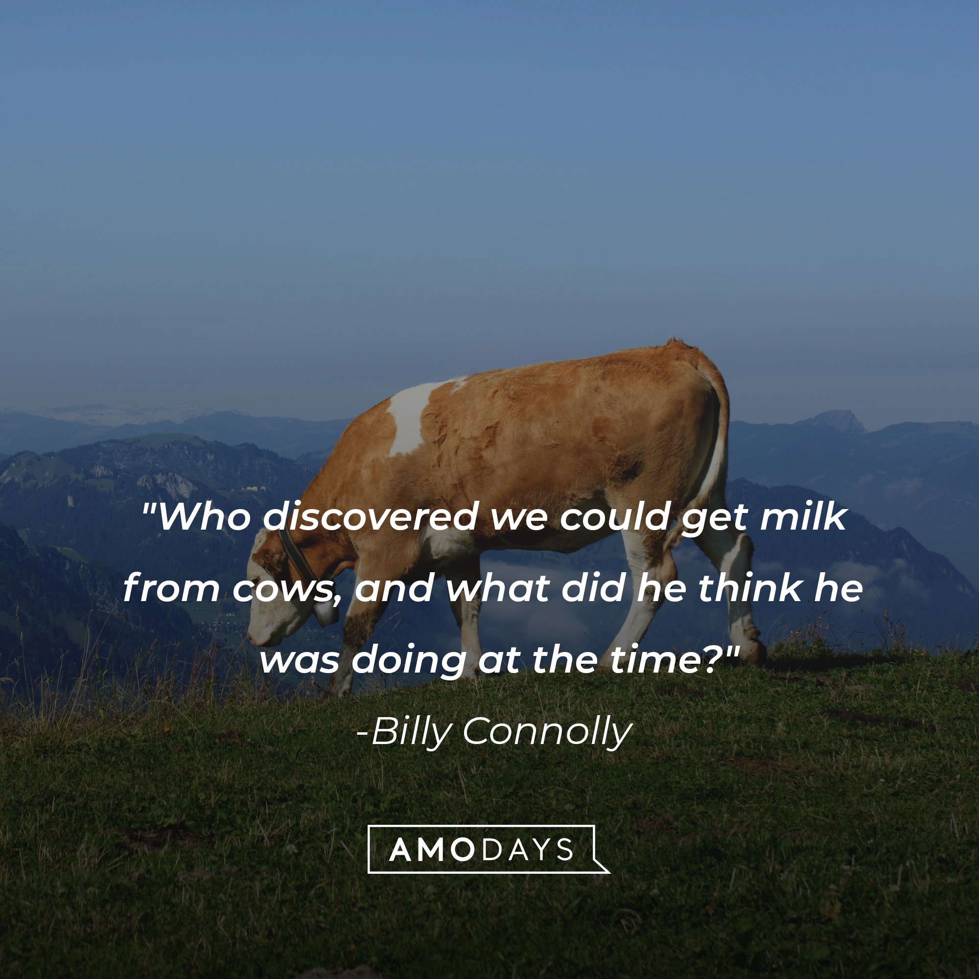 Billy Connolly’s quote: "Who discovered we could get milk from cows, and what did he think he was doing at the time?" | Image: AmoDays