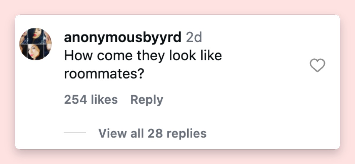 A netizen reaction to LL Cool J and Simone I. Smith's latest red carpet moment. | Source: Instagram/mickmicknyc