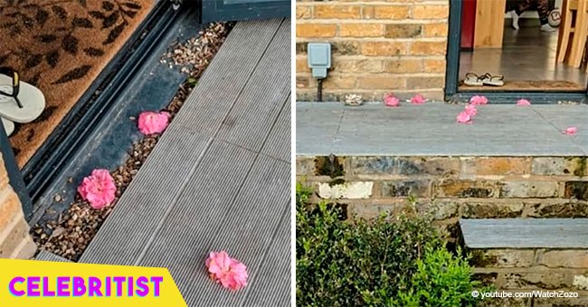 Woman finds flowers on her porch every day & finally catches her secret admirer in the act