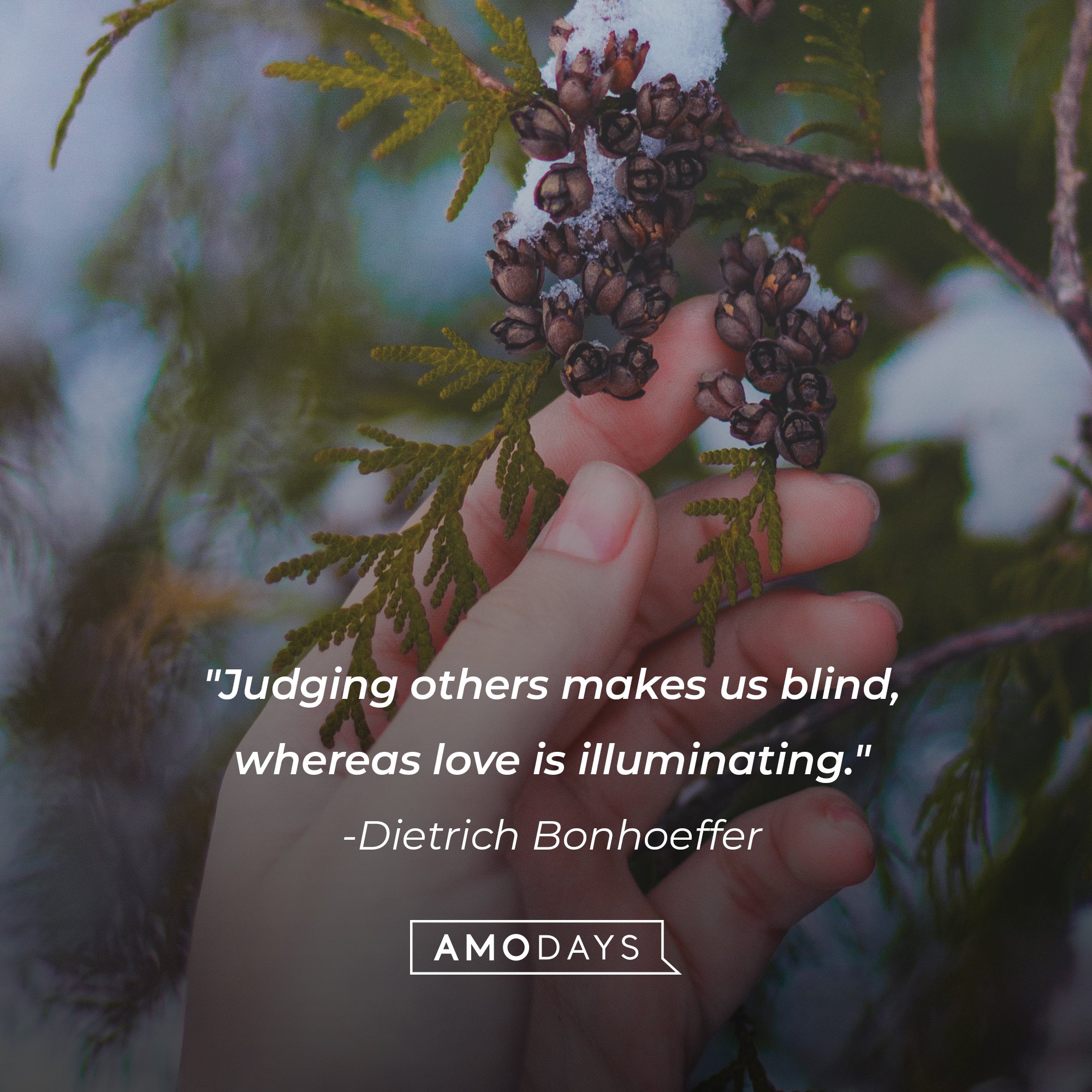 Dietrich Bonhoeffer’s quote: "Judging others makes us blind, whereas love is illuminating." | Image: AmoDays  