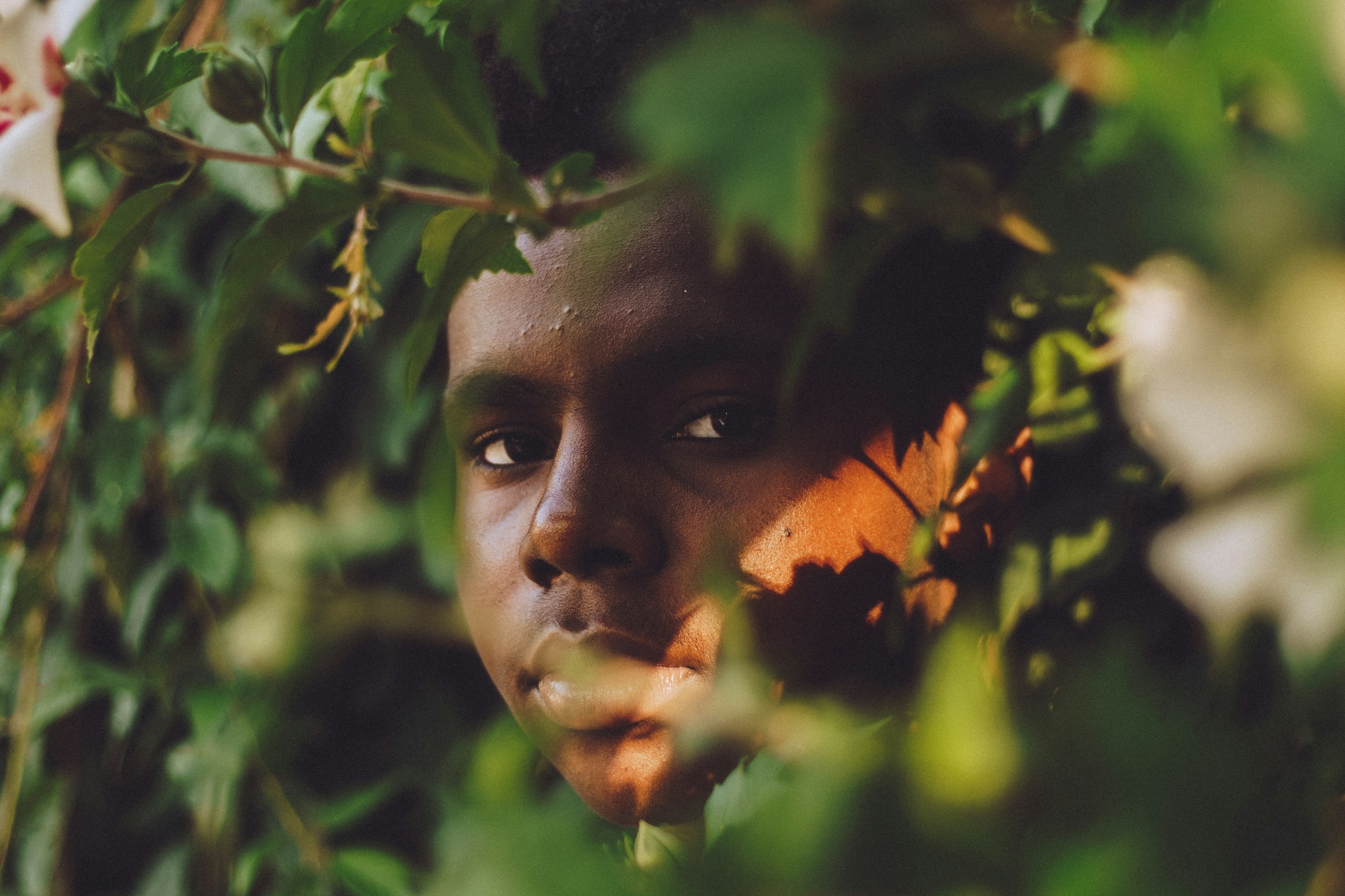 A boy in nature | Source: Unsplash