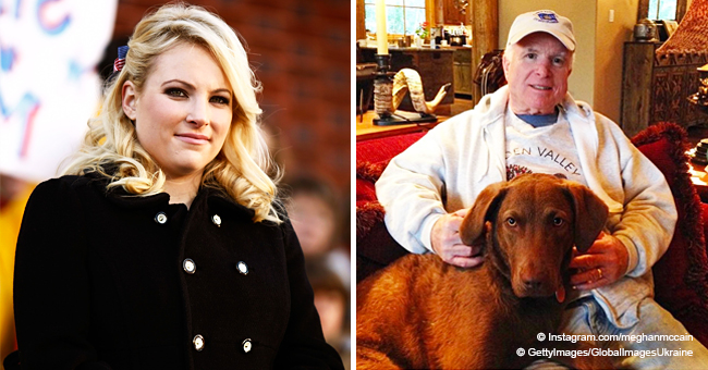 Meghan McCain Mourns Death of Late John McCain's Beloved Dog with a Touching Post