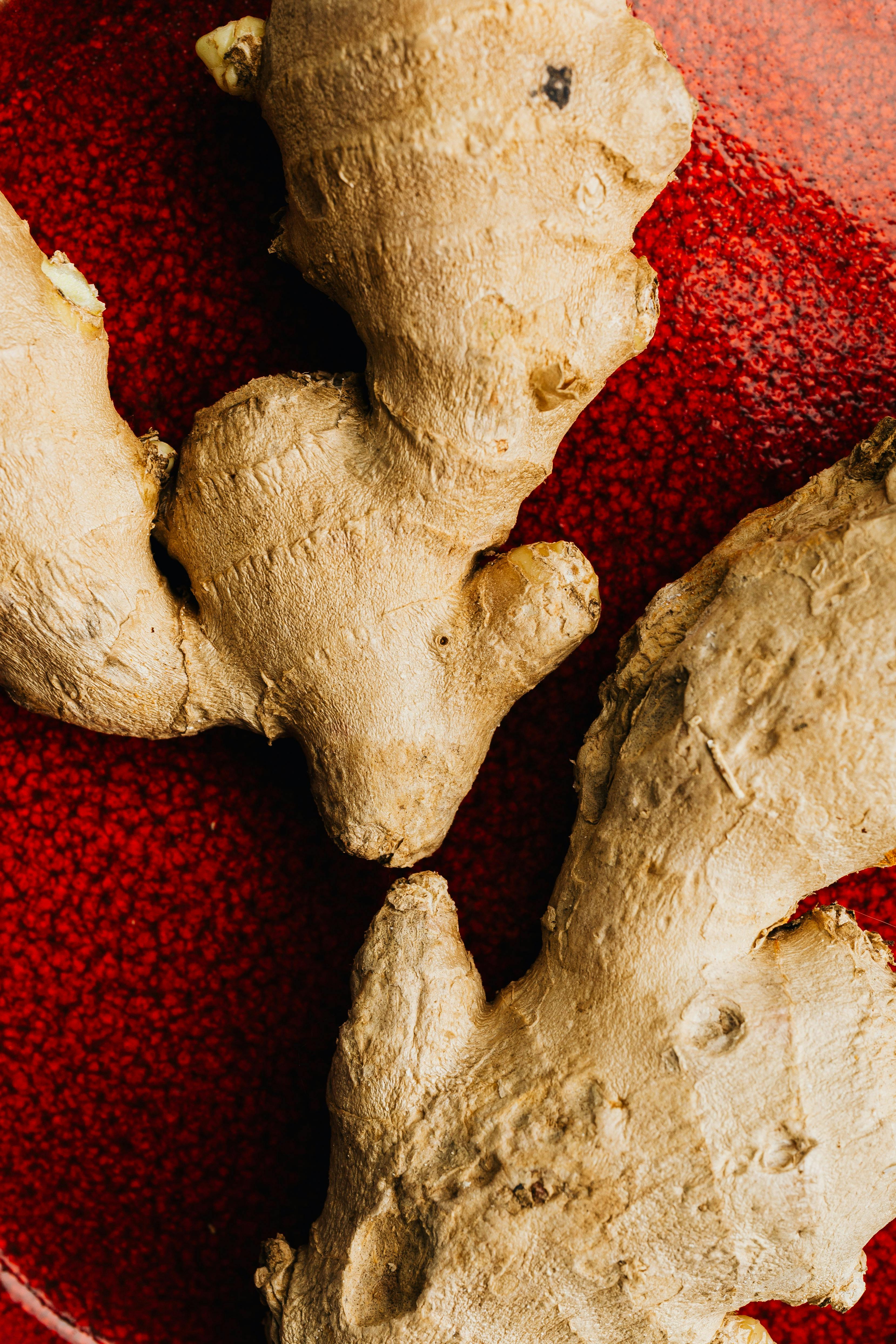 Ginger | Source: Pexels