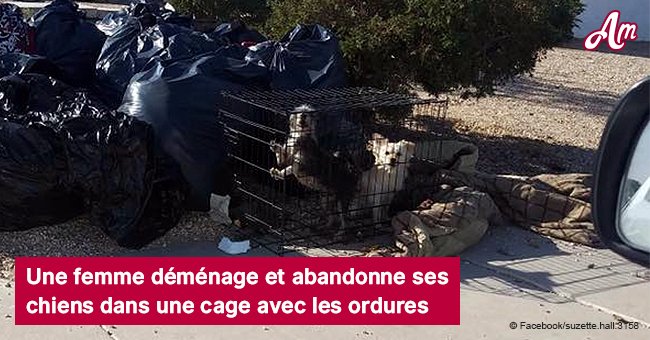 Une femme déménage et abandonne ses chiens dans une cage avec les ordures