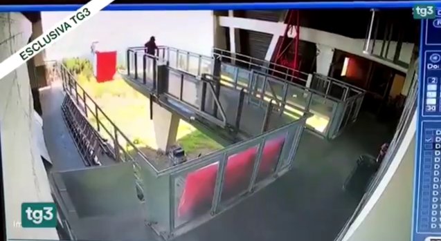 Capture de la vidéo sur Twitter. | Photo : Tg3