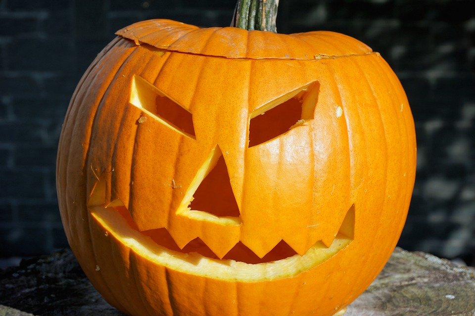 Calabaza cortada para decorarla para Halloween. | Imagen: Max Pixel Calabaza cortada para decorarla para Halloween. | Imagen: Max Pixel