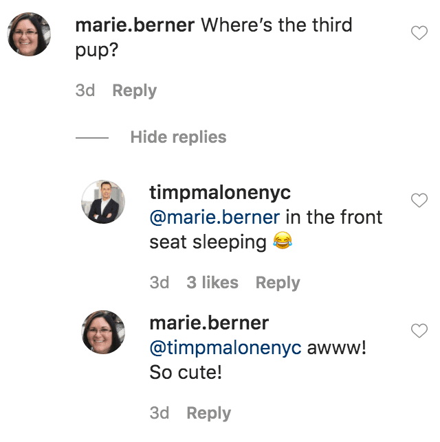 A fan commented on a photo of Don Lemon and Tim Malone sitting in a convertible car with their dogs, Barkley and Boomer | Source: Instagram.com/timpmalonenyc