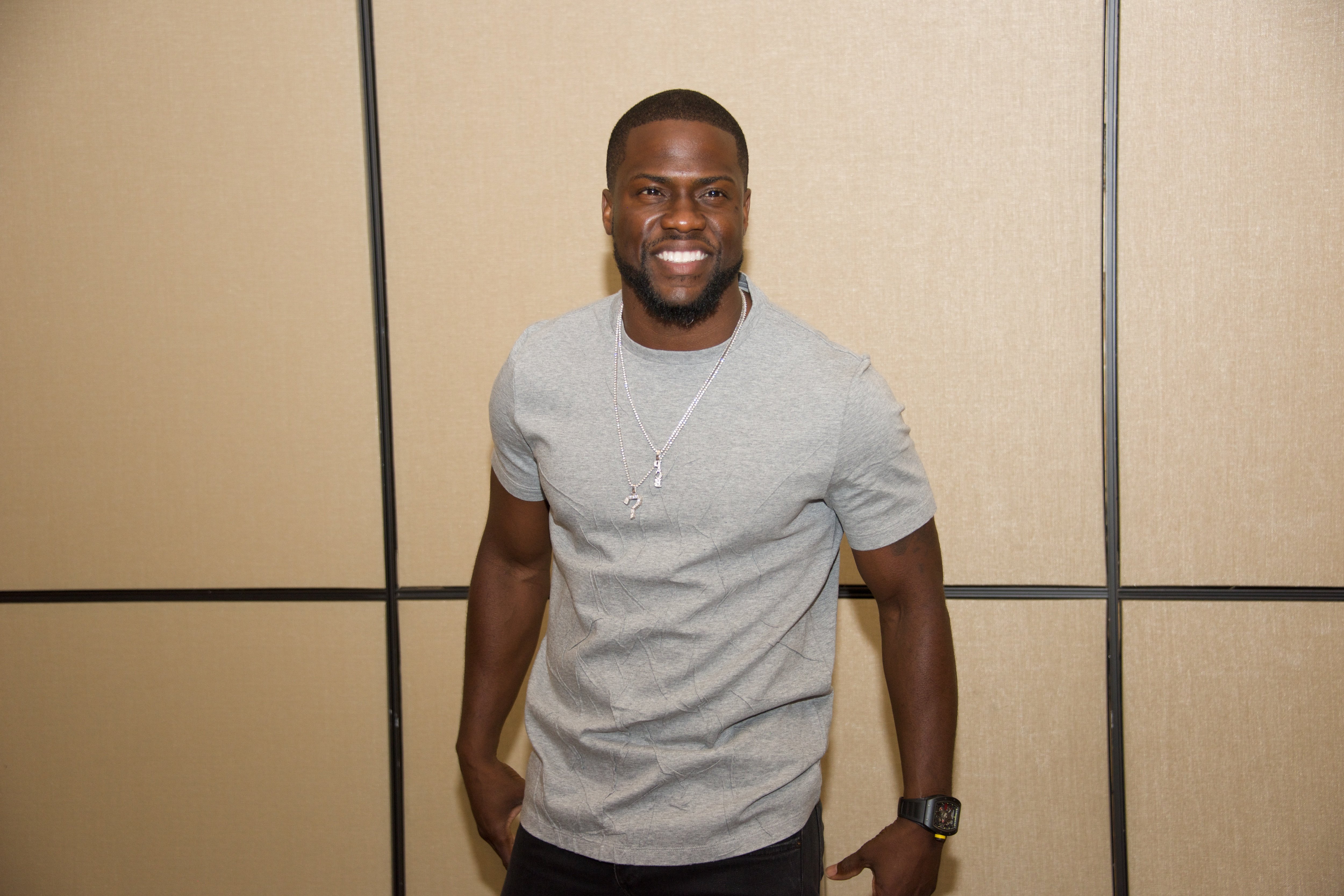 Kevin Hart at "The Secret Life of Pets" movie press conference on June 24, 2016 in New York City. | Photo: Getty Images