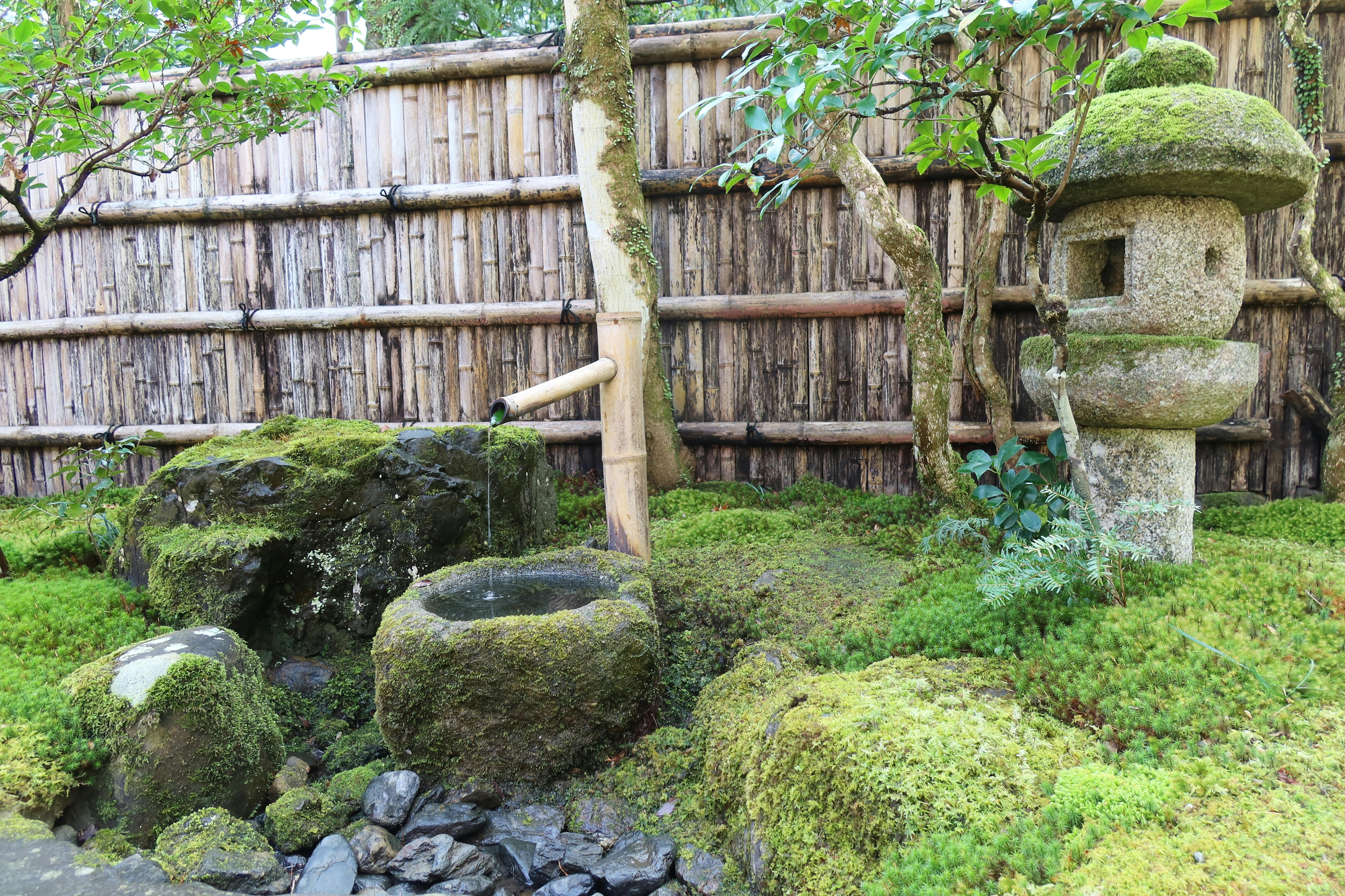 Wabi sabi garden | Source: Pexels