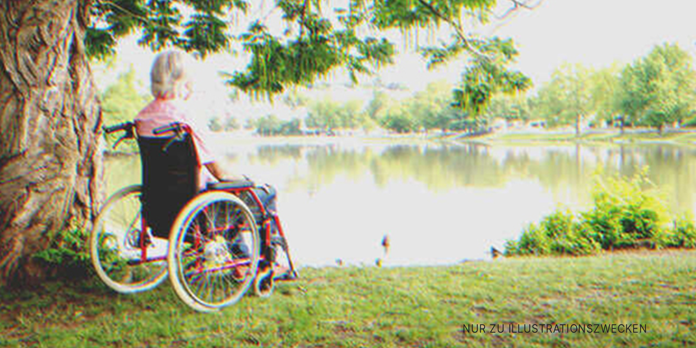 Senior in einem Rollstuhl | Quelle: Shutterstock