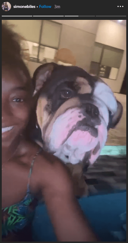 Screenshot of Simone Biles and Jonathan Owen's English Bulldog, Zeus taken at Biles' home. | Source: Instagram/@simonebiles