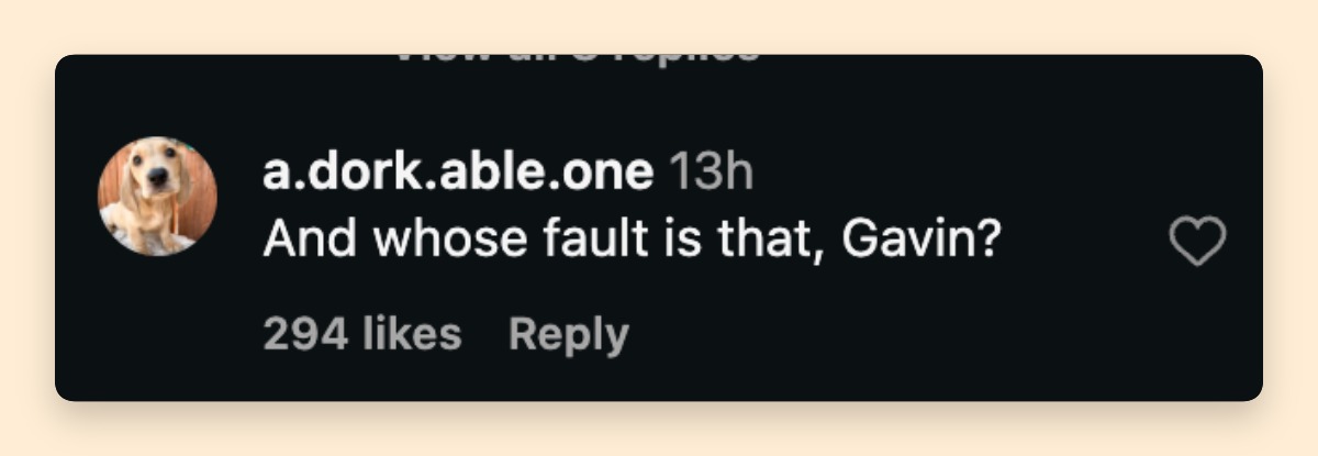 A netizen's reaction to Gavin Rossdale's recent remarks | Source: Instagram/Page Six