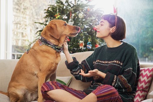 Woman cuddles dog, sitting on sofa in front of the Christmas tree | Photo: Getty Images
