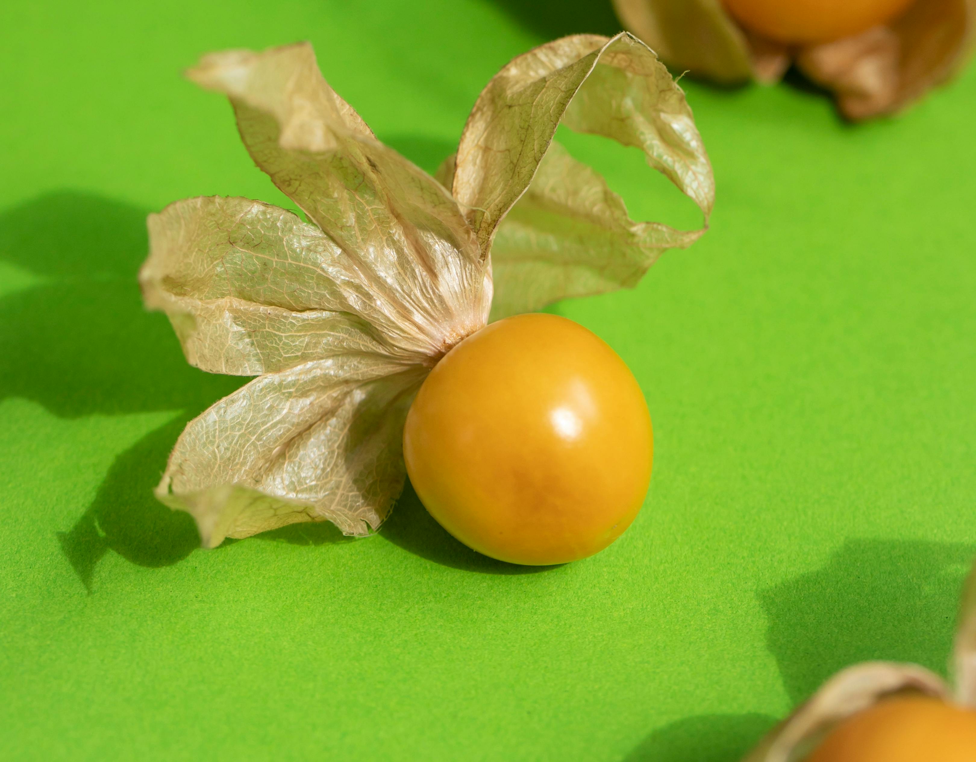 Ground cherries | Source: Pexels