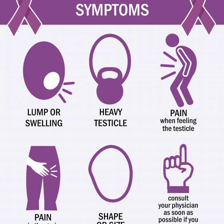 A Guide To Performing A Testicular Exam At Home