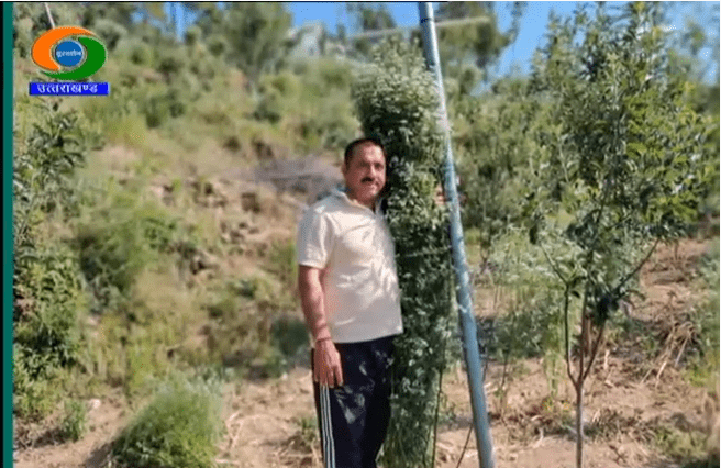 Un fermier bat un record mondial grâce à un plant de coriandre de 2,1 mètres de hauteur. | Photo : Youtube
