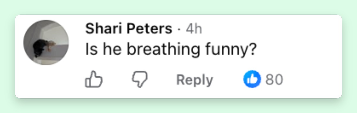 One of the first questions to gain traction online focused on the president's appearance during the funeral. This comment reflected a broader discussion that unfolded across social media, where viewers closely analyzed subtle moments from the ceremony and reached very different conclusions. | Source: Ffacebook/CSPAN