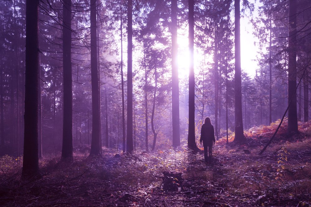 Une photo d'une femme marchant dans les bois | Photo : Shutterstock