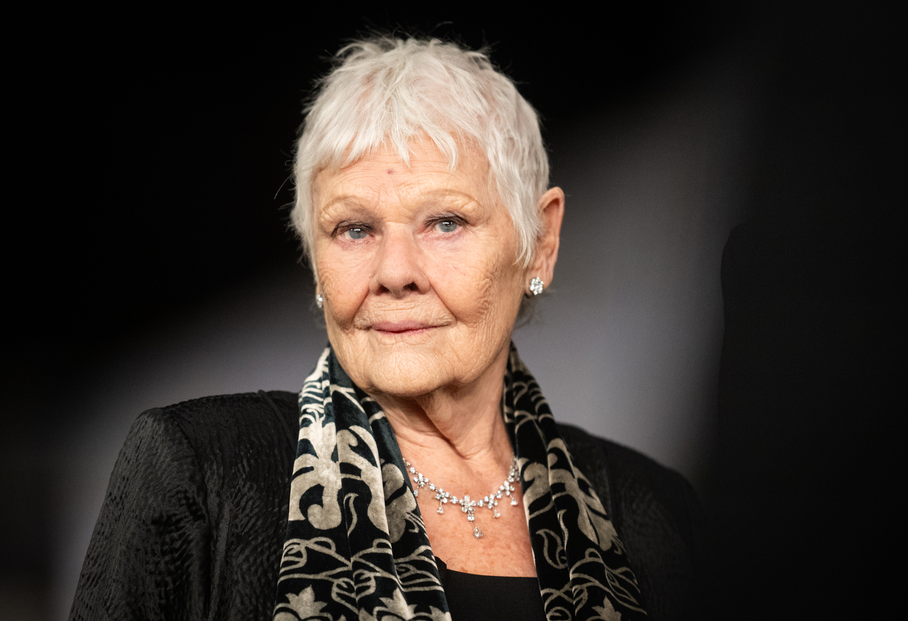 Dame Judi Dench at the "Finding Harmony: A King's Vision" premiere at Windsor Castle on 28 January 2026 in England. | Source: Getty Images