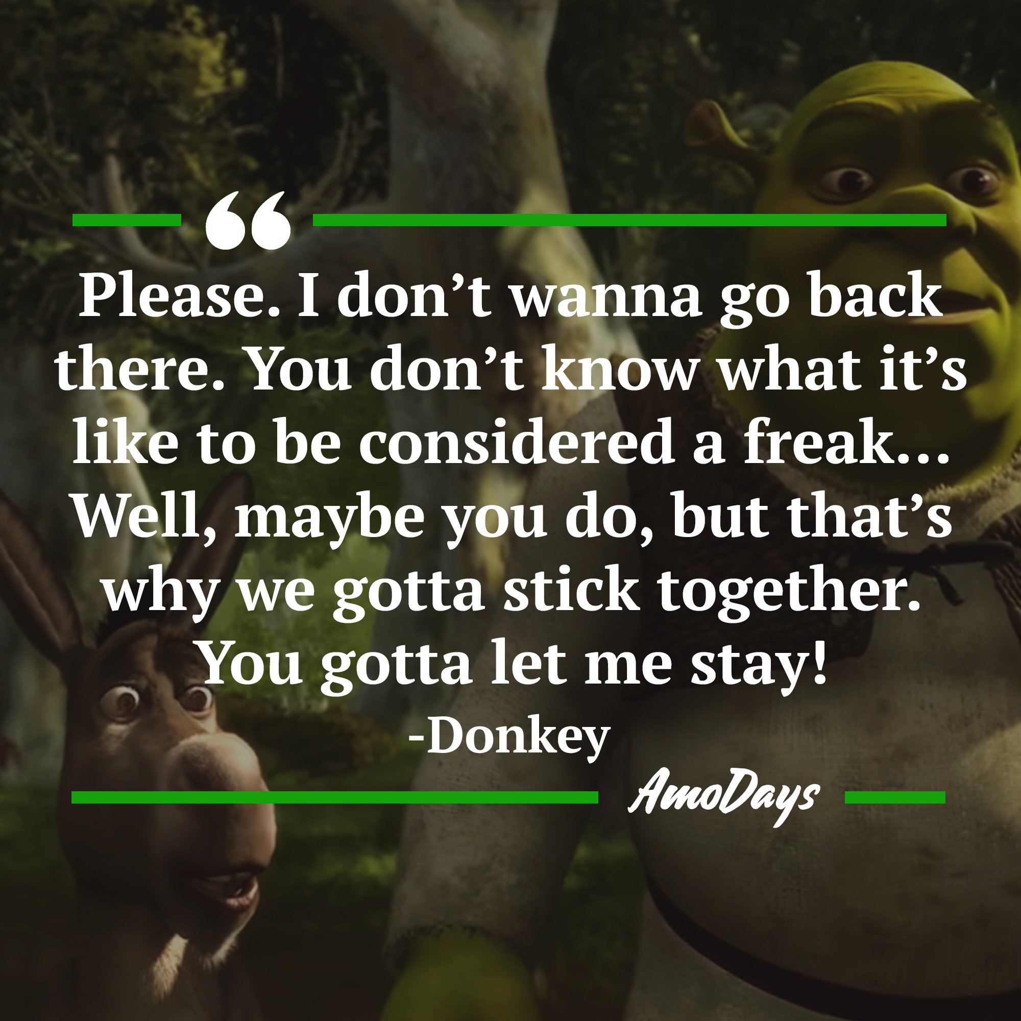 Donkey's quote: “Please. I don’t wanna go back there. You don’t know what it’s like to be considered a freak… Well, maybe you do, but that’s why we gotta stick together. You gotta let me stay!” Image: AmoDays 