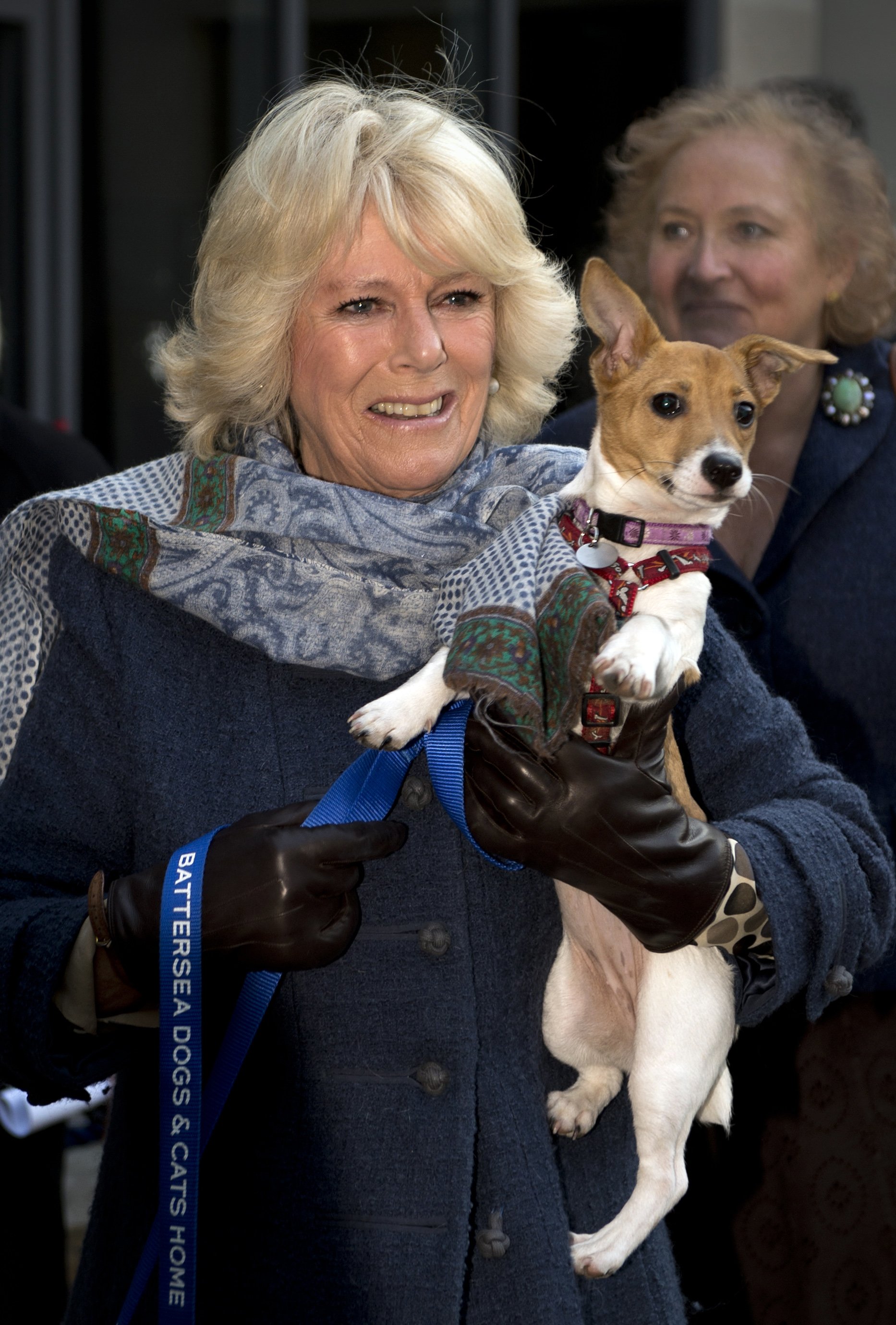 Camilla, Queen Consort, carries her dog Bluebell as she visits Battersea Dog and Cats Home on December 12, 2012, in London, England. | Source: Getty Images