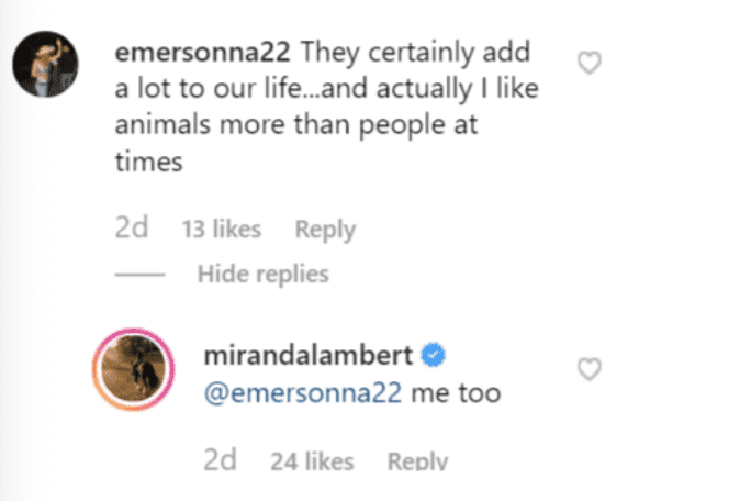 Miranda Lambert replies to a fan's comment on her post. | Source: Instagram/mirandalambert