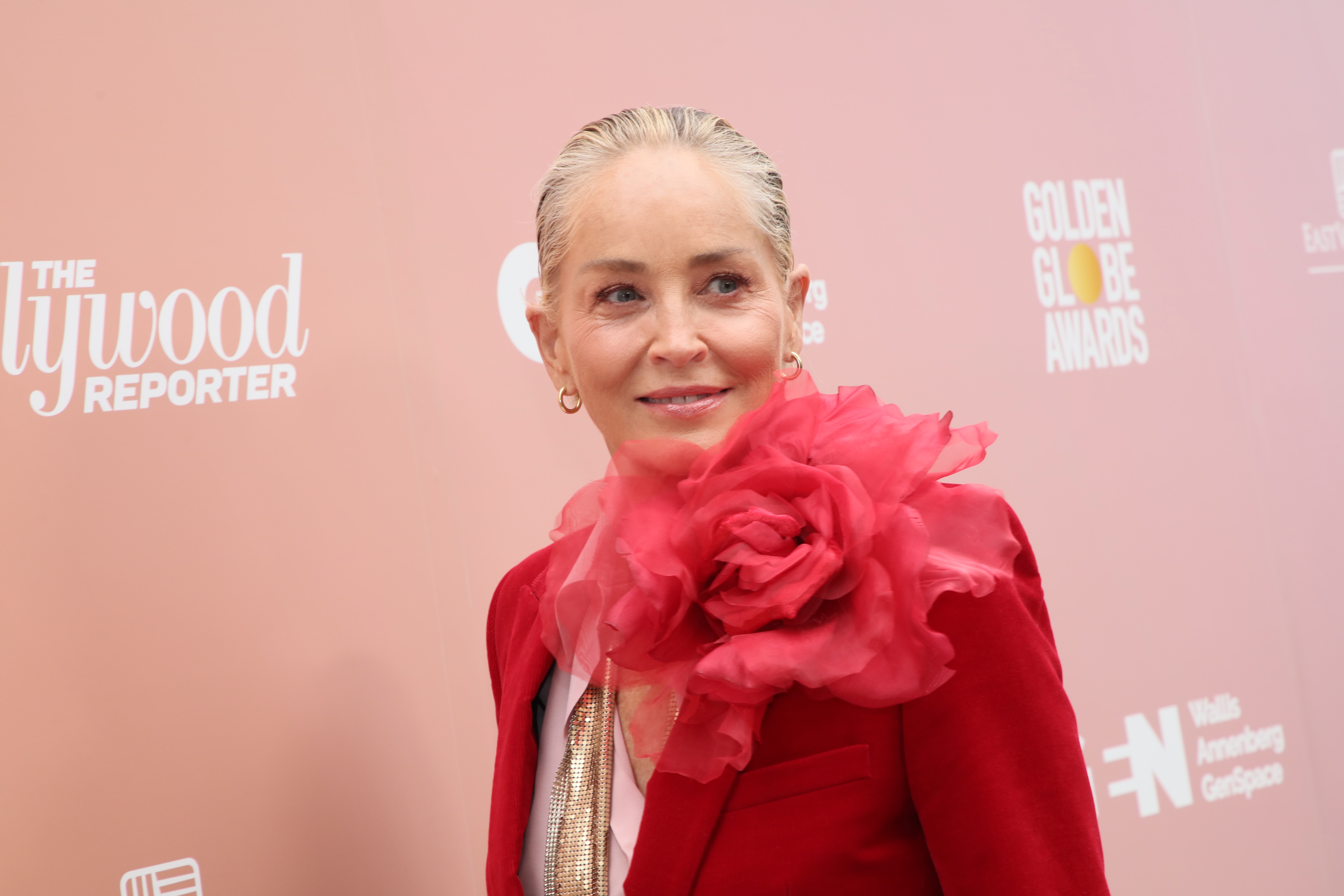 Actress Sharon Stone attends The Hollywood Reporter 2nd Annual "Raising Our Voices" event at Audrey Irmas Pavilion on May 31, 2023, in Los Angeles, California. | Source: Getty Images