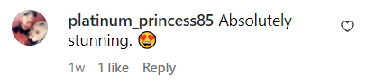 A comment left under a photo Beverly D'Angelo posted on Instagram in April 2023 | Source: instagram.com/officialbeverlydangelo/
