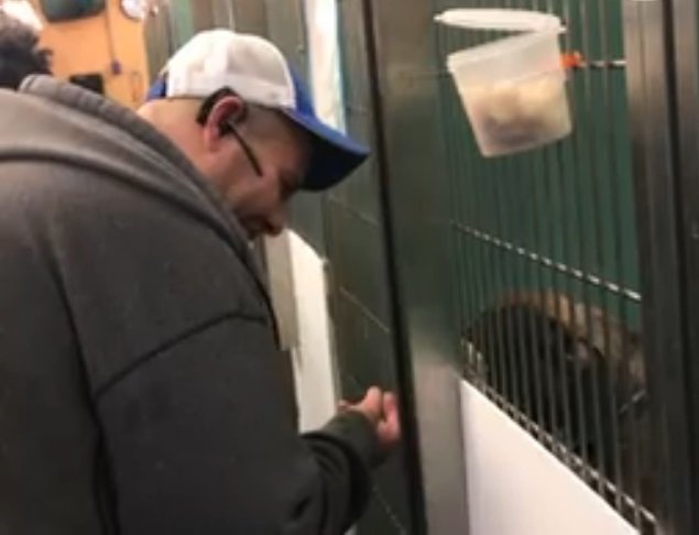 Robert Allison conoce a Blue en el refugio animal. | Foto: Facebook/Animal Care Center of NYC