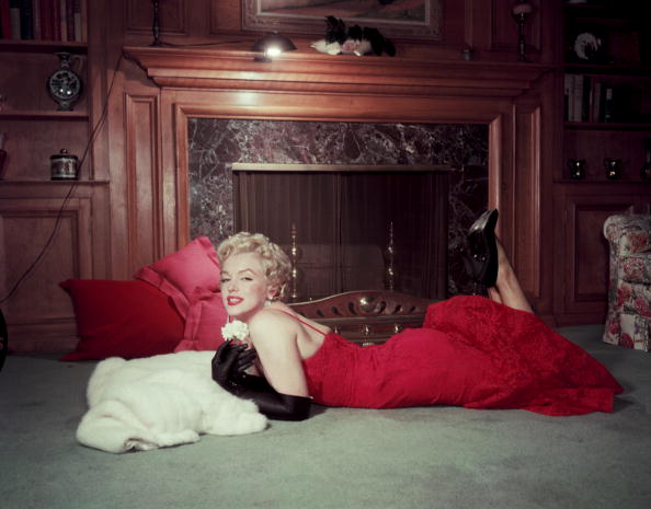 Portrait of American actor Marilyn Monroe as she holds a white carnation while lying on her stomach in front of a fireplace | Photo: Getty Images