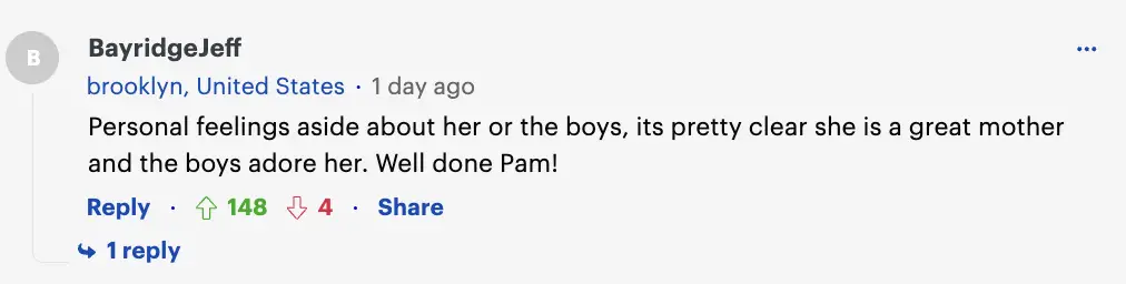 Comments about Pamela Anderson | Source: Daily Mail.com