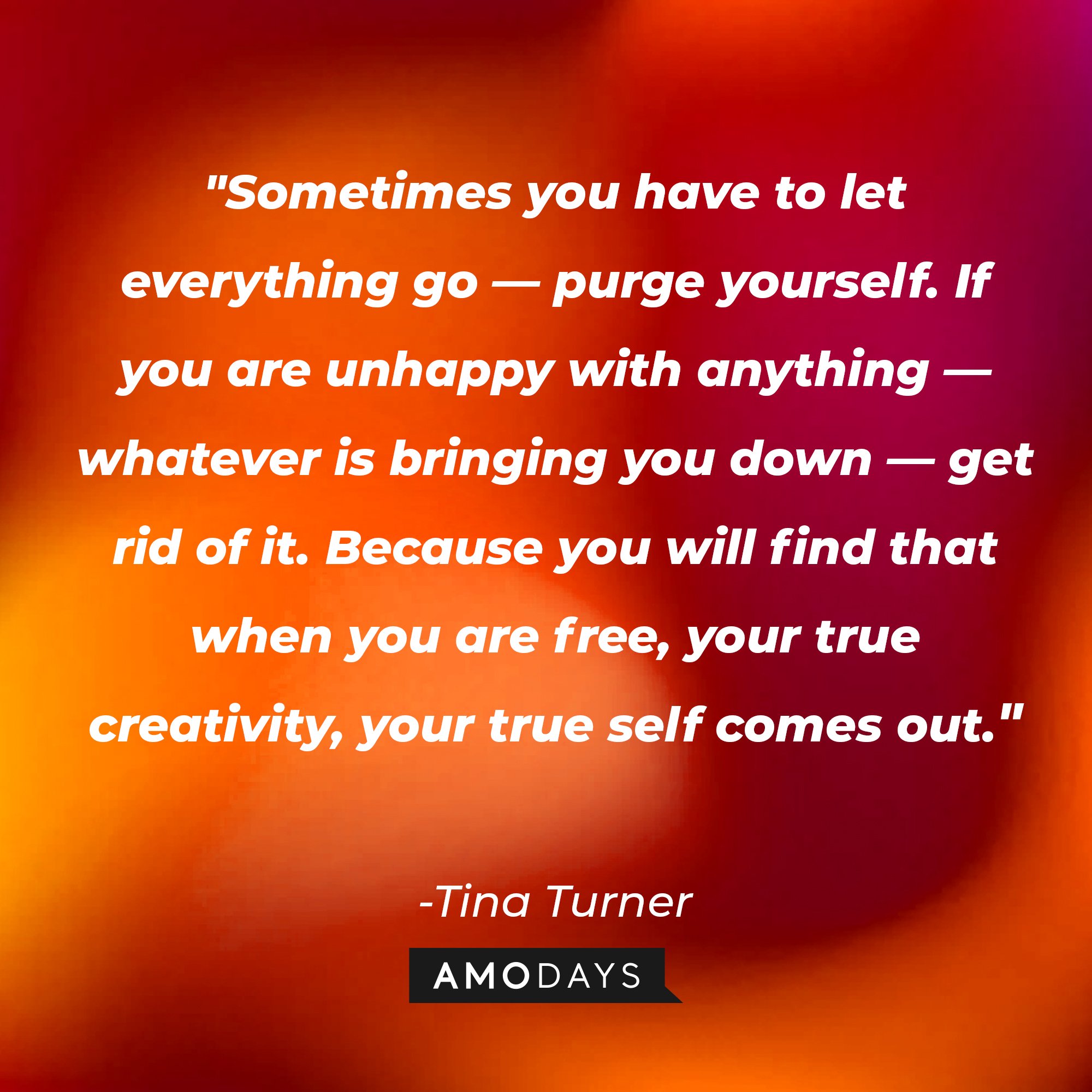 Tina Turner’s quote: "Sometimes you have to let everything go—purge yourself. If you are unhappy with anything—whatever is bringing you down—get rid of it. Because you will find that when you are free, your true creativity, your true self comes out." | Image: AmoDays   