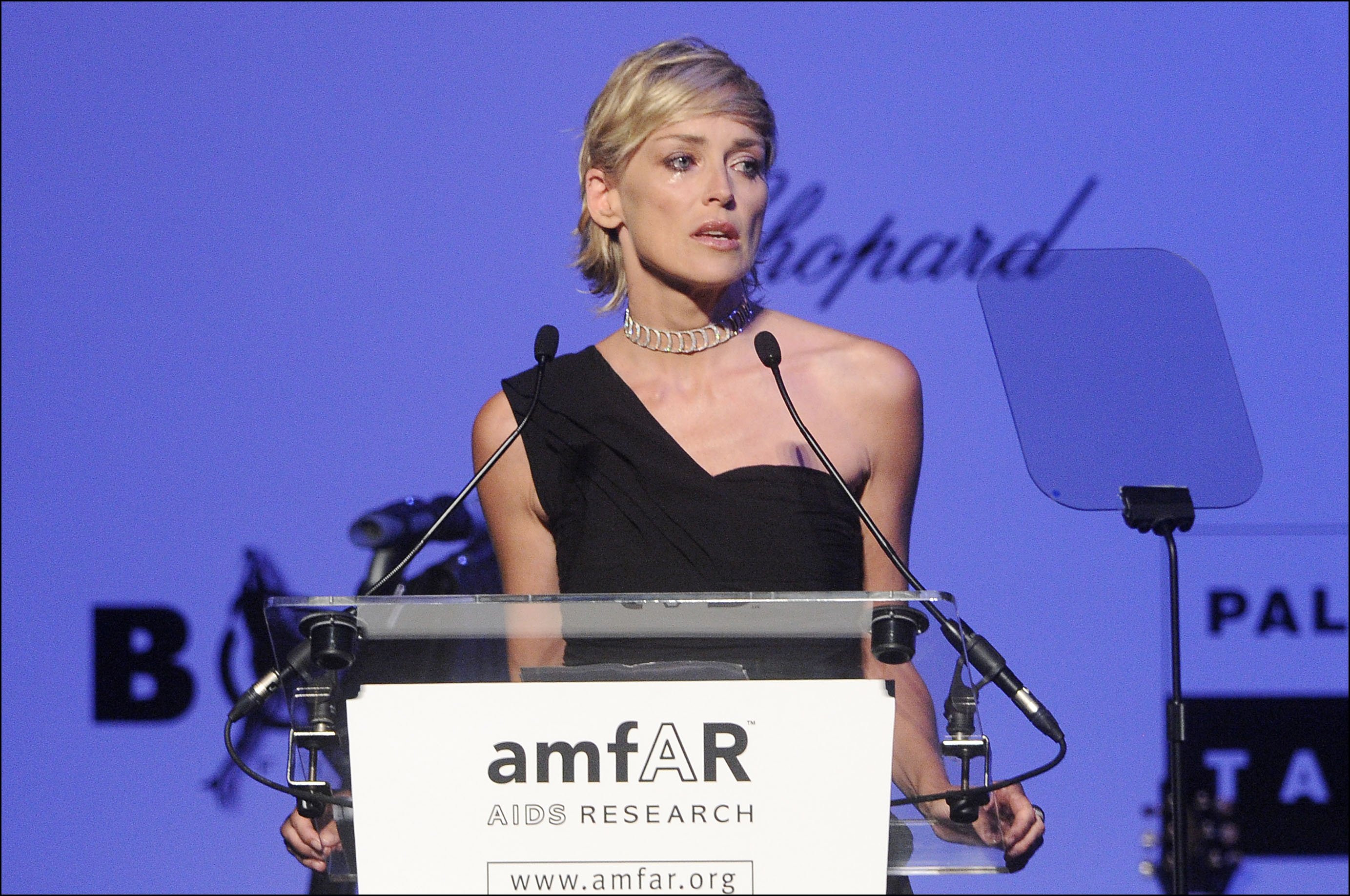 The "Casino" actress Sharon Stone during her 2009 speech in amfAR Cinema Against Aids gala in France. | Photo: Getty Images