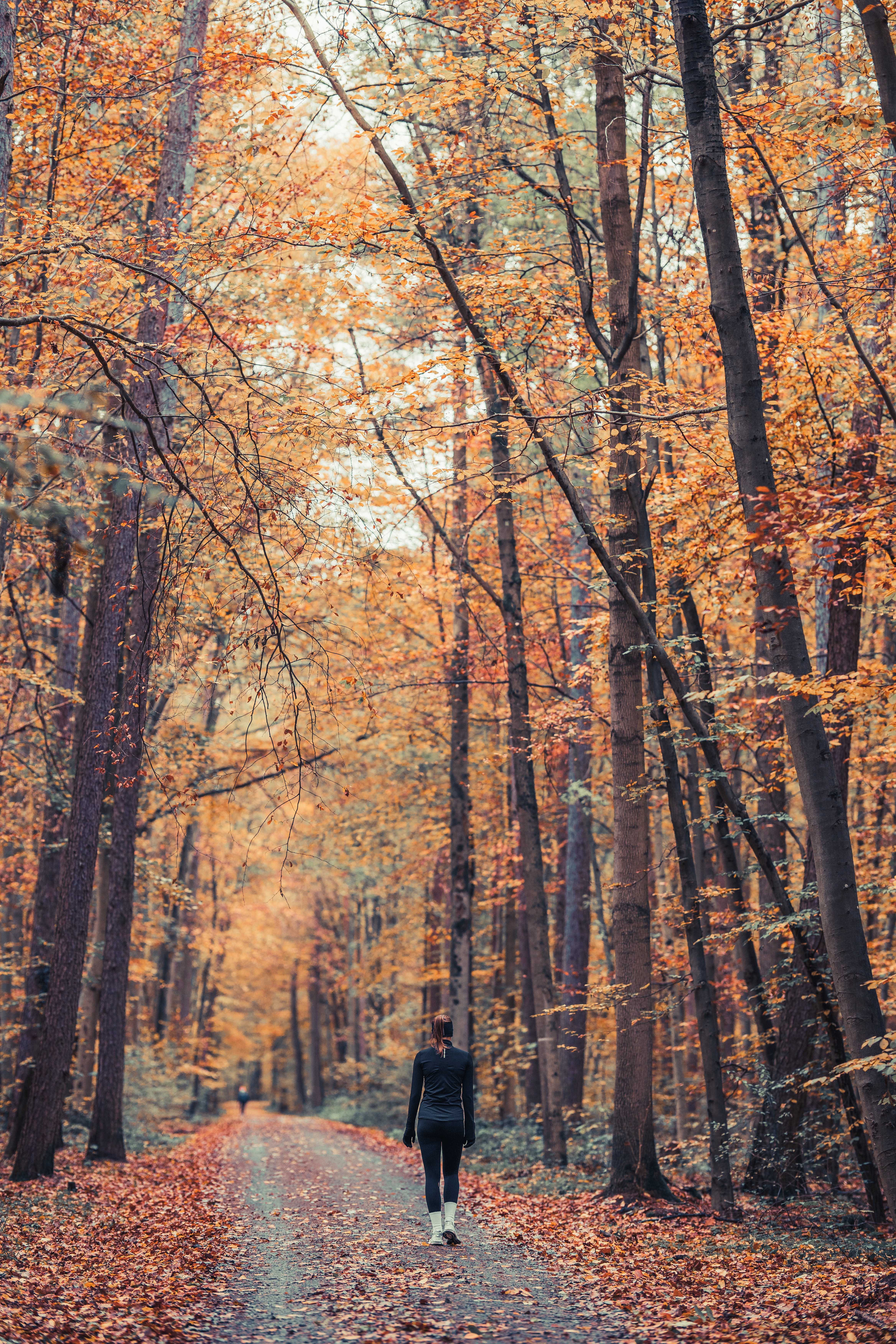 A woman walking in the park | Source: Pexels